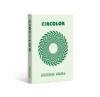 Carta Riciclata per Fotocopiatrici e Stampanti, A4, Vari Colori, Varie grammature, verde chiaro (menta)