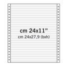 Moduli in Continuo, in Carta Meccanografica, 24x27,9 Cm, 24cm x 27,9mm (11")